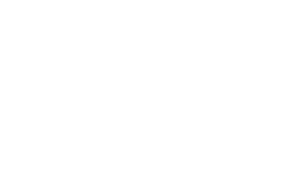 CLEAN SOLAR ENERGY INC
